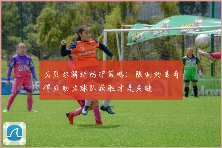 戈贝尔解析防守策略：限制约基奇得分助力球队获胜才是关键